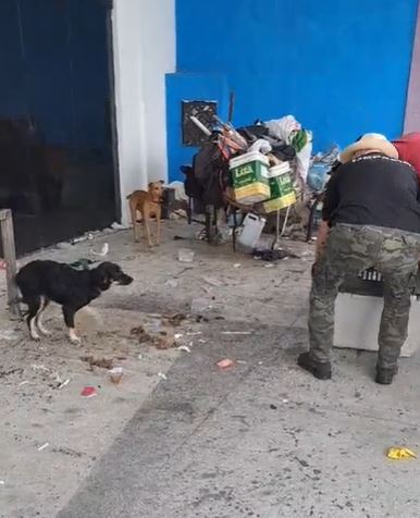Cães são resgatados pela polícia em ação contra maus-tratos