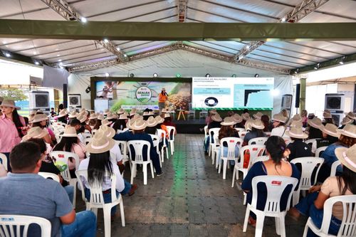 Sealba para Elas destaca protagonismo feminino no agronegócio