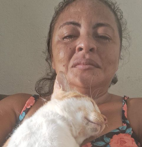 Mulher registra boletim de ocorrência após morte de gato durante castração na Casa de Passagem em Itabaiana