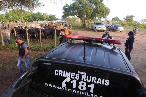 Suspeito De Furto De Gado No Interior De Sergipe é Preso Em São Paulo