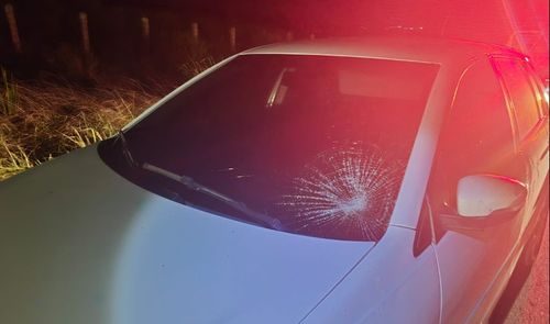 Homem fica ferido após ser atropelado na SE-270, em Simão Dias