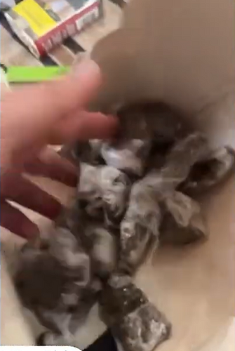 Suspeitos de tráfico são detidos em casa com grande quantidade de drogas em Itabaiana