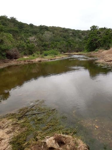 Dois irmãos perdem a vida em afogamento no Rio Vaza-Barris, em Itaporanga D'Ajuda