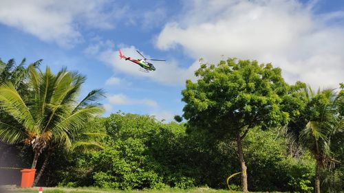 Bombeiros encontram parte do corpo durante buscas pelo piloto da aeronave que caiu em manguezal