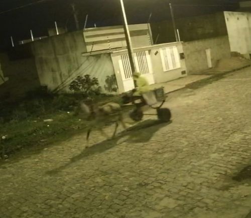 Ladrão de carroça é flagrado por câmeras de segurança no bairro Sítio Porto