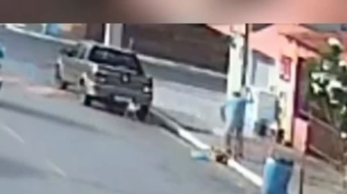 Cachorro é esfaqueado na Barra dos Coqueiros; suspeito está foragido