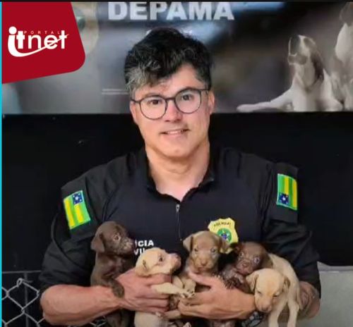 DEPAMA resgata cadela e cinco filhotes em situação de abandono em Aracaju