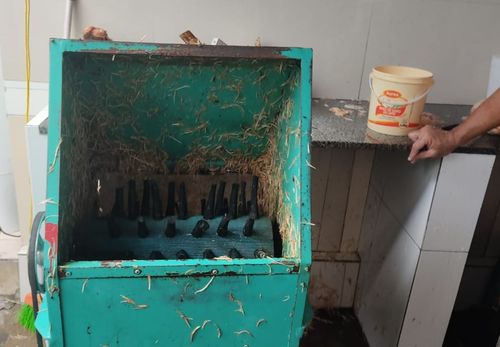 Abatedouro de aves que funcionava sem alvará e licença sanitária é fechado em Itabaiana