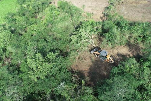 Após denúncia por aplicativo, Adema e PM flagram a derrubada ilegal de árvores no interior de Sergipe