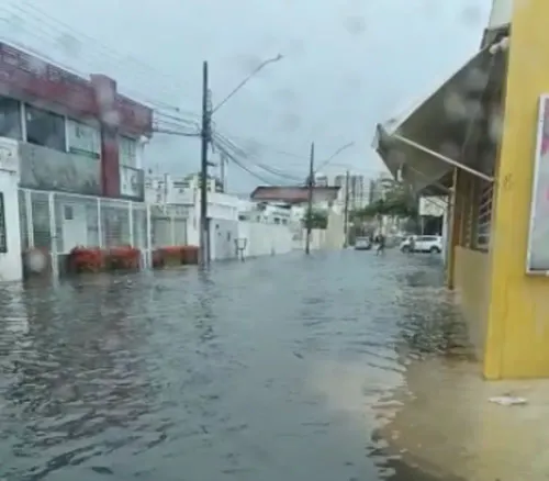 Sustentabilidade urbana: A urgência de preservar ecossistemas em Aracaju