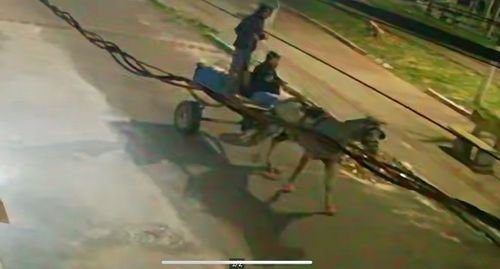 Banheiro químico furtado é recuperado pela Guarda Municipal em Aracaju