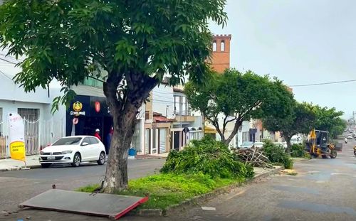 ITABAIANA: algumas árvores da Av. 13 de Junho são derrubadas para serem substituídas em revitalização. Entenda