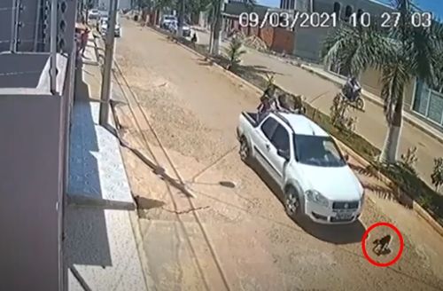 VÍDEO: carro atropela e mata cadela em Carira. Ocupantes do veículo não prestaram socorro ao animal