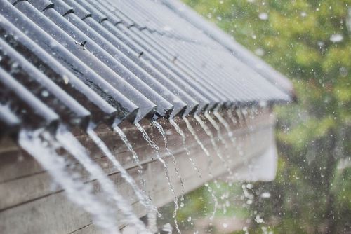 Você usa água da chuva em casa? Ela pode parecer limpa, mas pode te deixar doente!