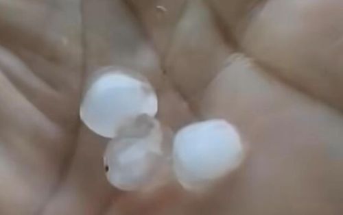 Chuva de granizo e ventos fortes causam transtornos em Simão Dias