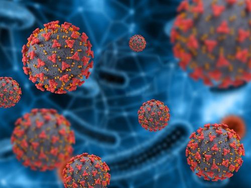 Procura por testagem aumenta e Sergipe registra mais de 250 novos casos de coronavírus no fim de semana
