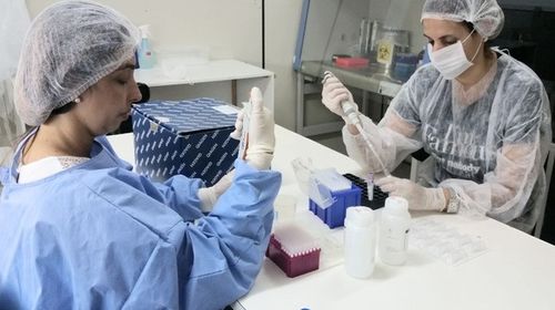 CORONAVÍRUS: há um ano, Sergipe confirmava o primeiro caso da doença