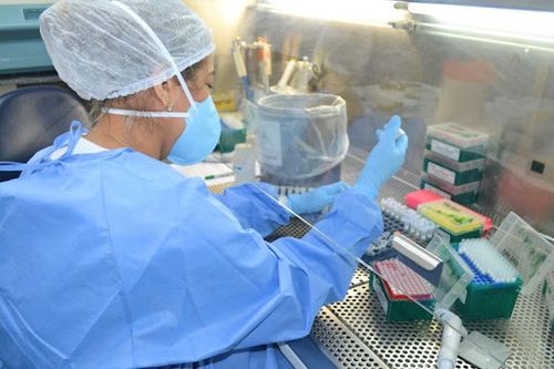 SES confirma mais 46 casos de Influenza A H3N2 em Sergipe e alerta sobre cuidado com crianças e idosos