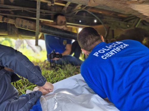 Perícia em ônibus que caiu de ponte em Nossa Senhora das Dores entra em nova fase