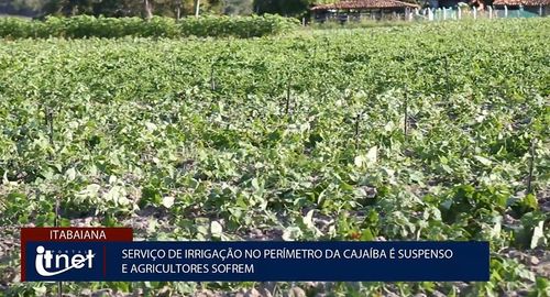 VÍDEO: confira como está a situação dos irrigantes, com a falta de água na Barragem da Cajaíba