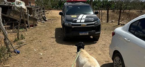 Polícia Civil prende três homens por furtos de carneiros em Propriá